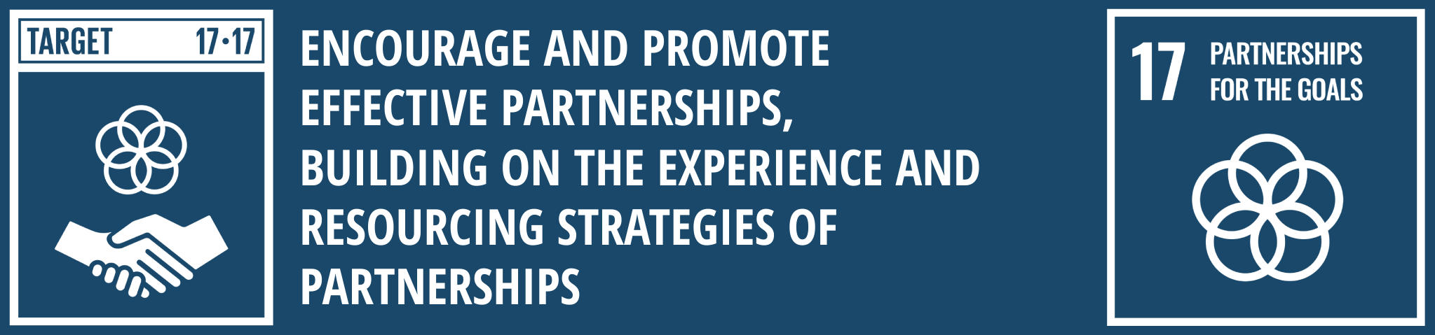 SDG Goal 17 Target 17.17: Encourage and promote effective parnerships, building on the experience and resourcing strategies of parnerships.