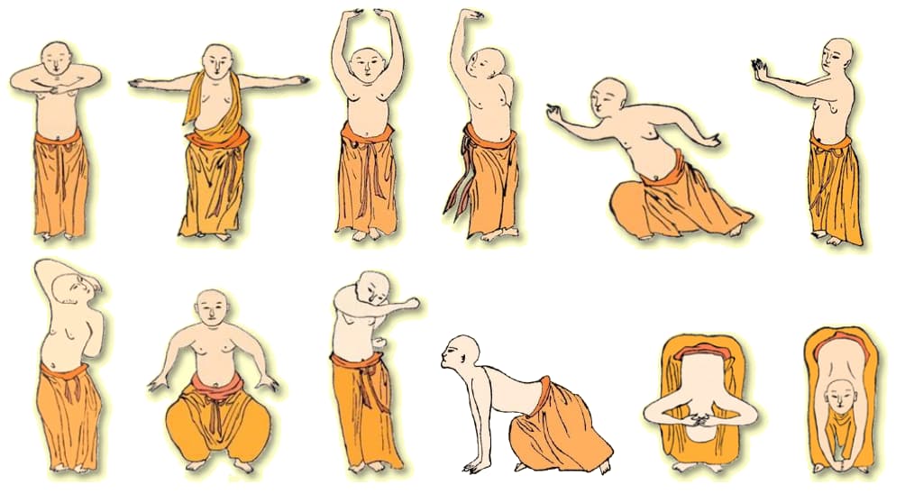 The 12 positions of Yi Jin Jing